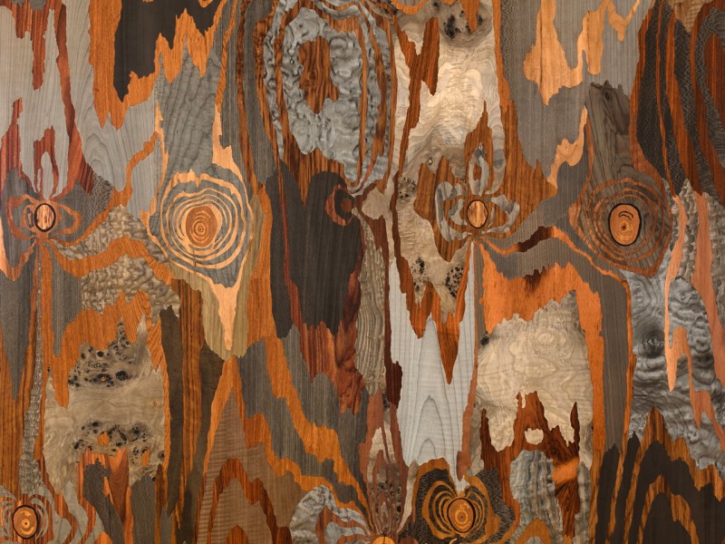 Silver Fox, 2013, marquetry: wood veneer and shellac, 53 x 51 inches